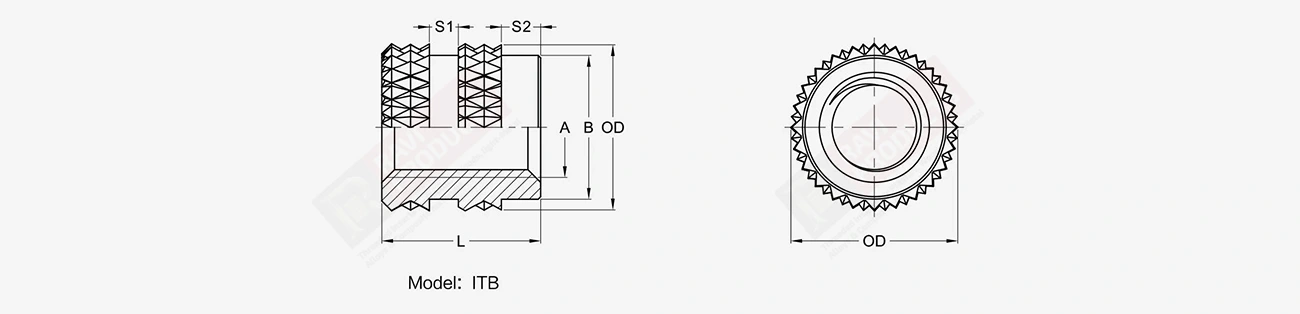 Molded Inserts Drawing